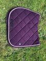 Tapis prune