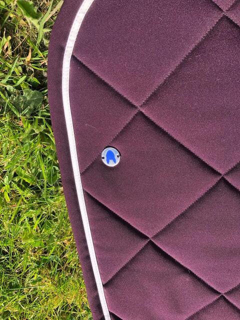 Tapis prune