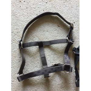 Lot de 3 licols Fouganza