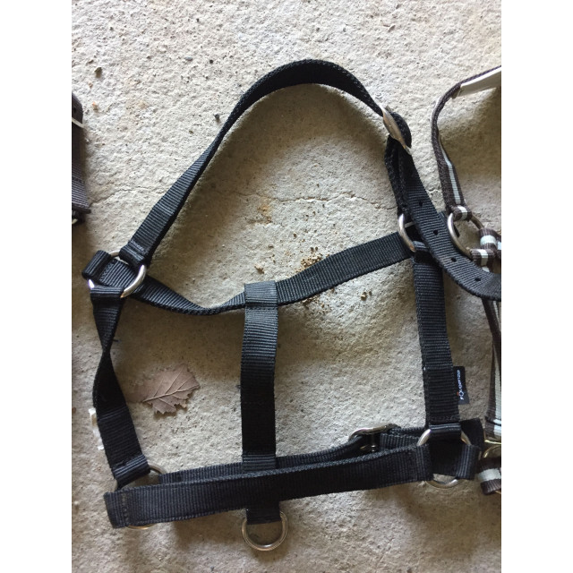 Lot de 3 licols Fouganza