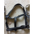 Lot de 3 licols Fouganza
