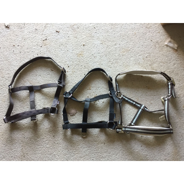 Lot de 3 licols Fouganza