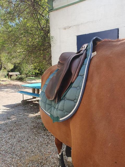 SELLE PRESTIGE