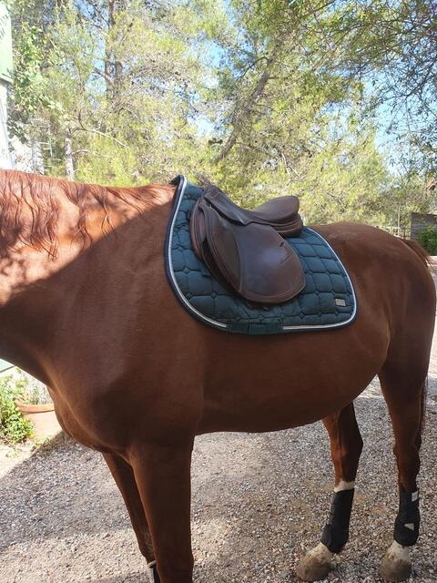 SELLE PRESTIGE
