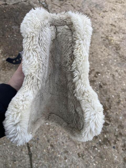 protection avant veredus mouton noir taille L