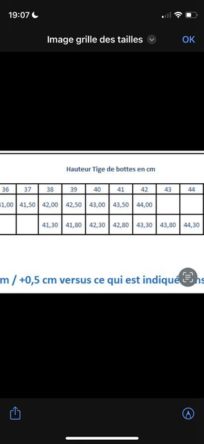Bottes d’équitation valverde marron cognac