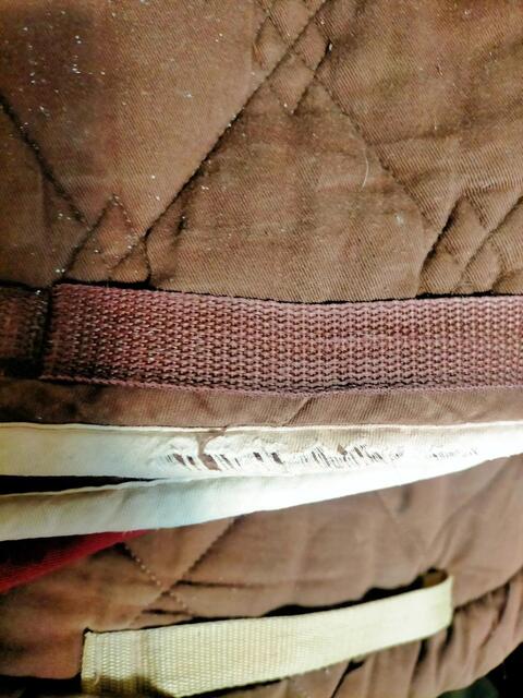 Tapis poney HV polo