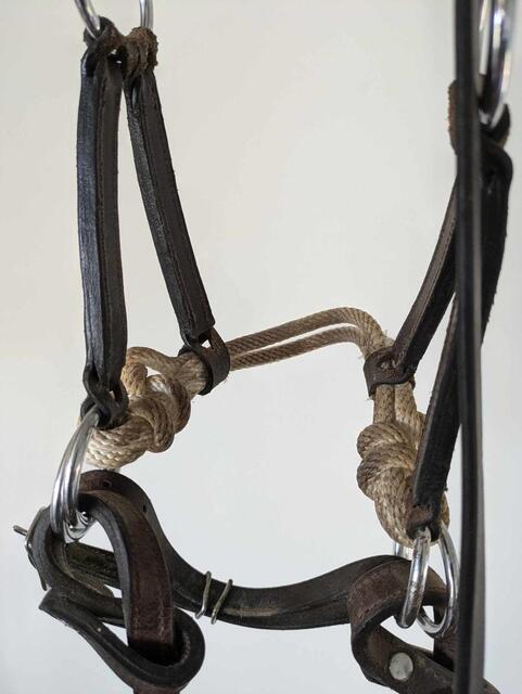 Sidepull cheval en cuir