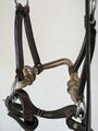 Sidepull cheval en cuir
