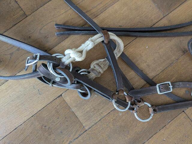 Sidepull cheval en cuir