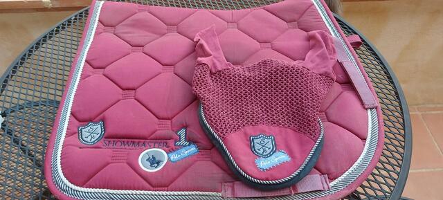 Ensemble Dressage