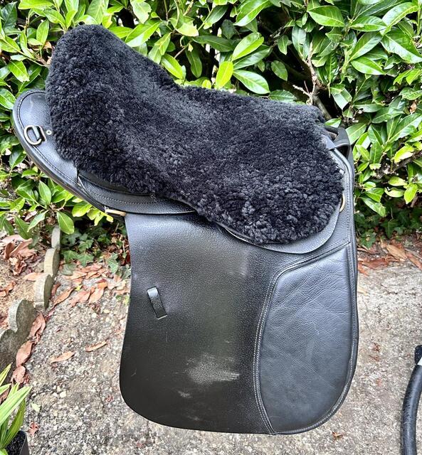 Selle Victoria
