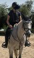 gilet de protection