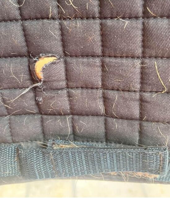 tapis + bonnet lamicelle