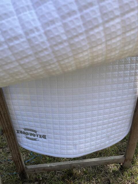 Tapis dressage