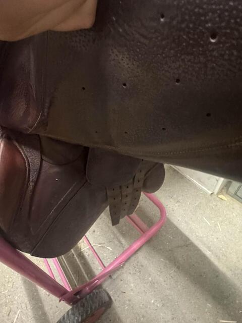 SELLE CWD