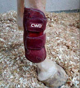 Guetres CWD