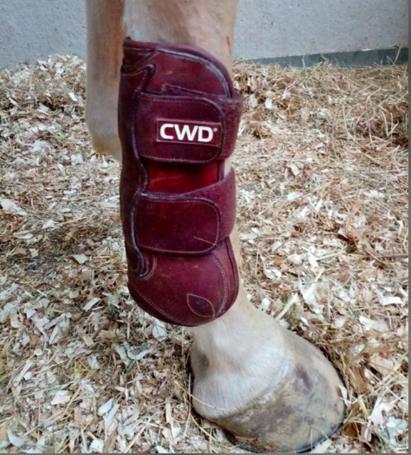 Guetres CWD