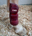 Guetres CWD