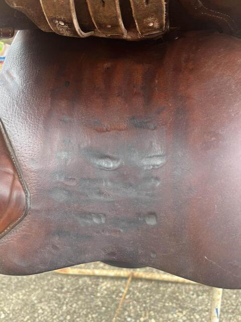selle devoucoux