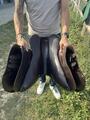 Selle Devoucoux