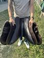Selle Devoucoux