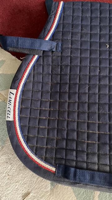 Tapis de selle
