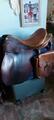 Selle forestier rando