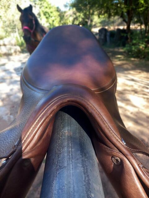 Selle time rider
