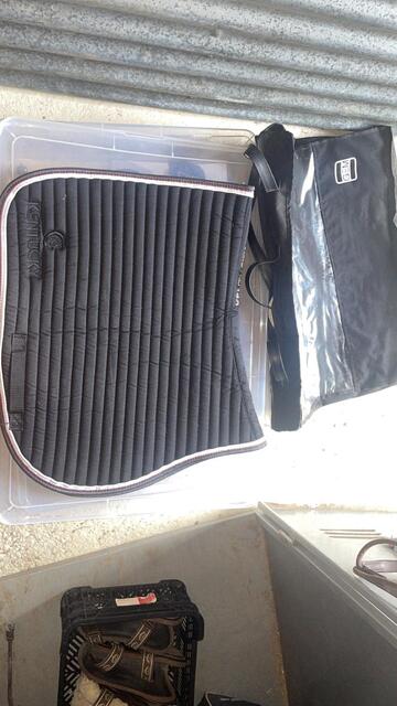 Tapis Kentucky