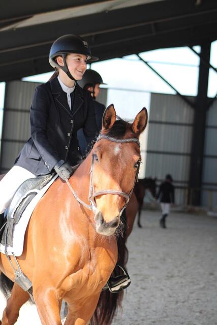 Veste de concours Penelope Leprévost t38