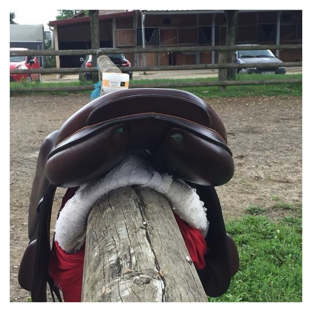 Selle Equipe Monoquartier