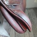 Selle CWD