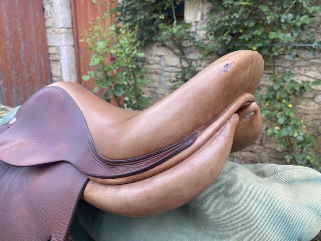 Selle Forestier 17’
