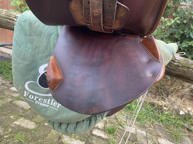 Selle Forestier 17’