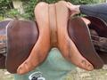 Selle Forestier 17’