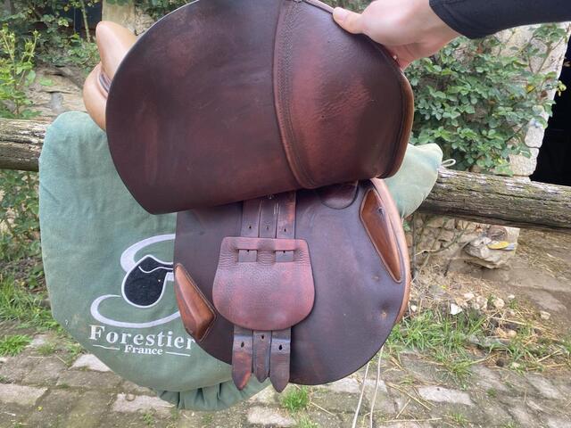 Selle Forestier 17’