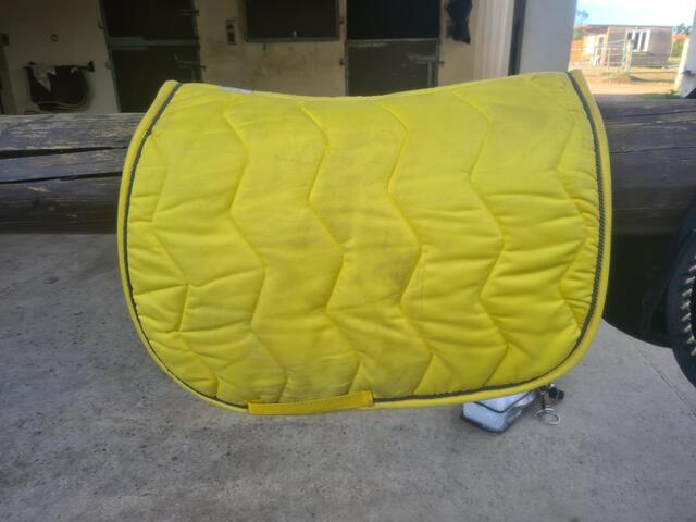 Tapis jaune équithème