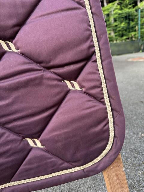 Tapis Back On Track