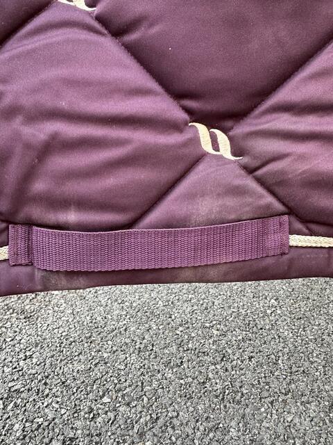 Tapis Back On Track