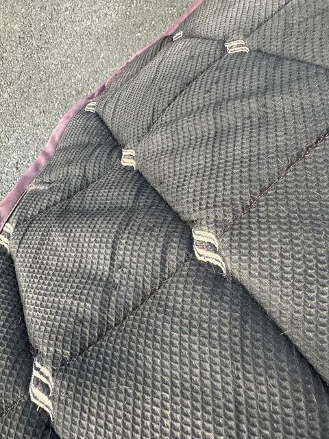 Tapis Back On Track