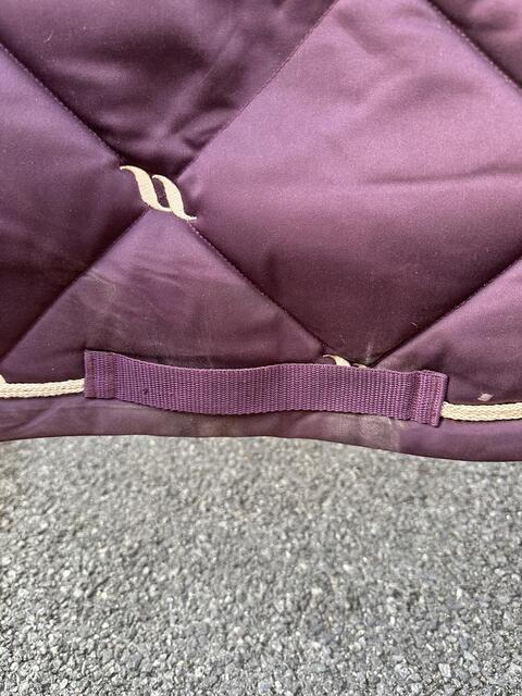 Tapis Back On Track