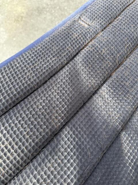 Tapis Gaze