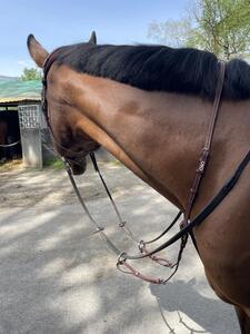 Martingale