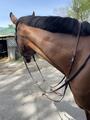Martingale