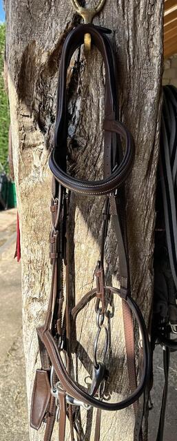 Bridon en cuir