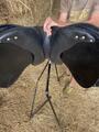 Selle Barry TdeT