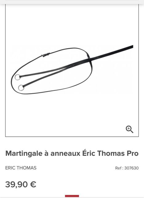 Martingale à anneaux Éric Thomas Pro