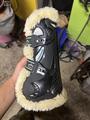 Veredus carbon gel mouton