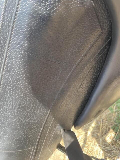 Selle de dressage
